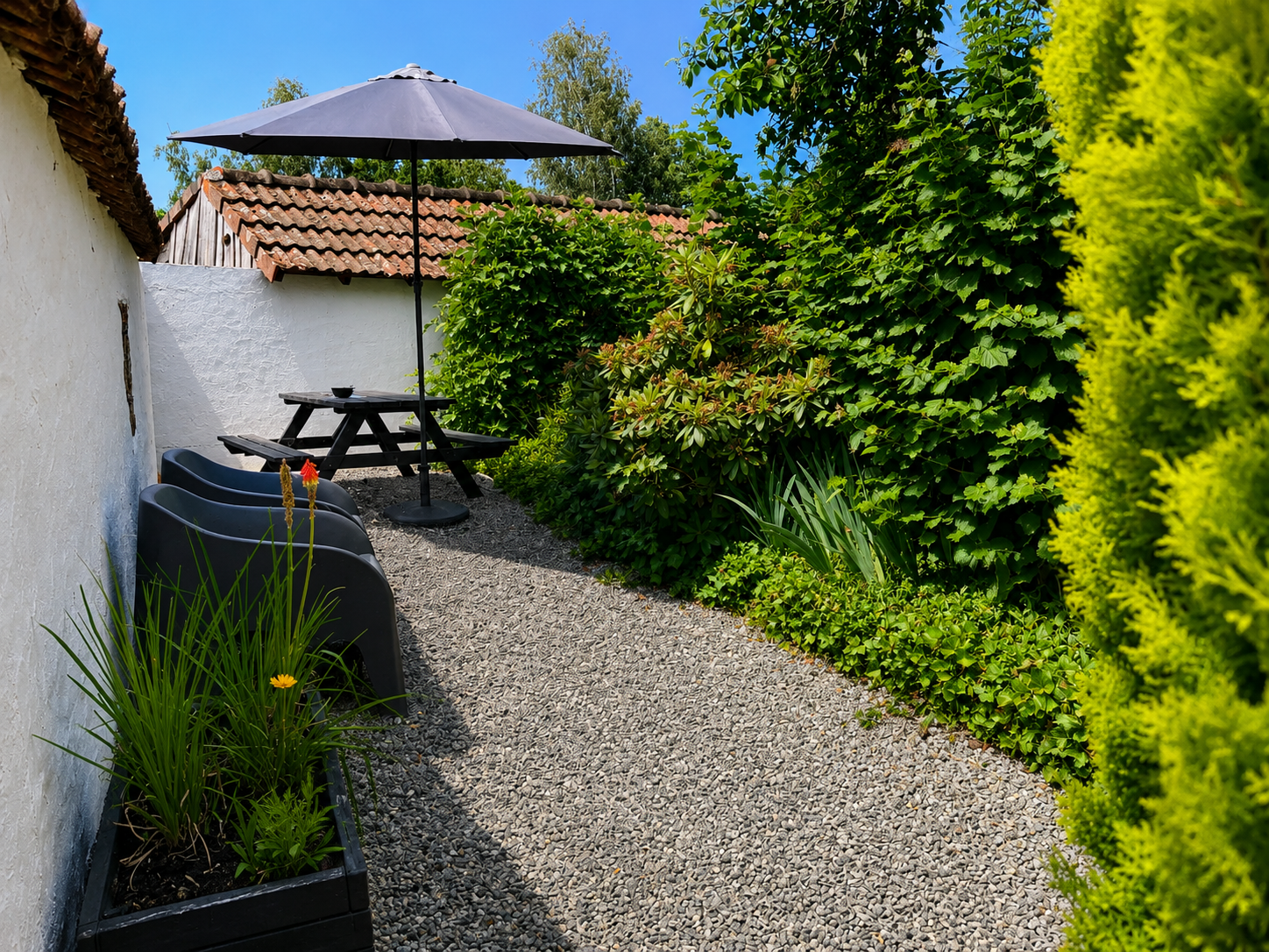 terras bergerie liggend.png